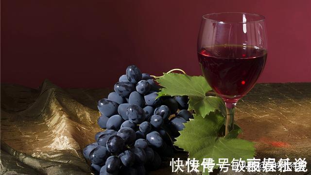 苍蝇|12个冷知识：或许看起来丝丝反智，但却真实存在着的奇怪知识
