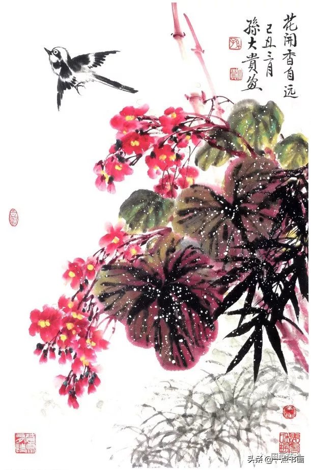 百花百鸟画集分享 二 快资讯