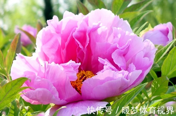 技巧#俗话说:言多必失,学会4个说话技巧,从此福从口入、财从天降!