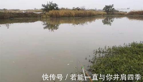 水温|窝中有鱼但是无口，你需要做这些调整，很快就能见效！