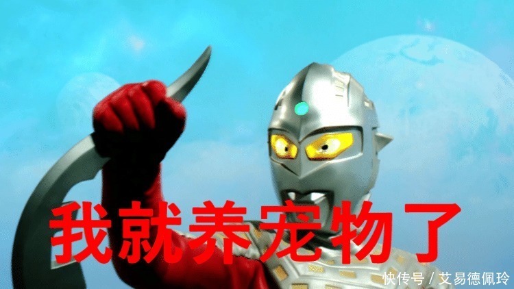 宠物|盘点那些养怪兽的奥特曼,雷欧的宠物会打人,他的宠物有三个!