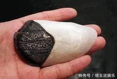 人参|鱼身上这个部位比人参还养人,许多人却傻傻的丢了!你吃过吗