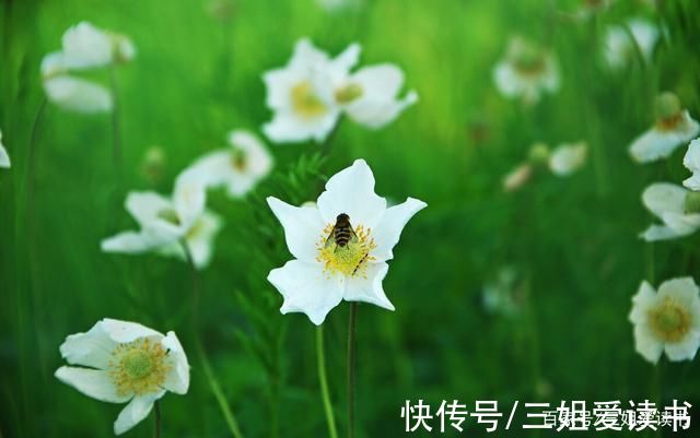 看淡|做人，最难得的是看清、看淡、看开