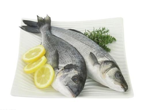 致癌物质|经常吃鱼能健脑、对心脑血管效果好,可有3种鱼或不能随便吃的