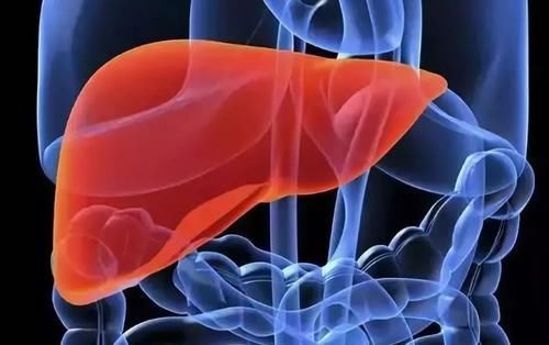 芦笋|担心肝脏会藏毒?这8种常见食物多吃一点,可以给肝脏轻松洗个澡