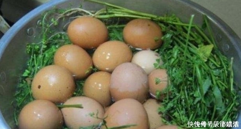 湿气|艾叶煮水太厉害了，每天喝一杯，男女都离不开，现在清楚也不迟