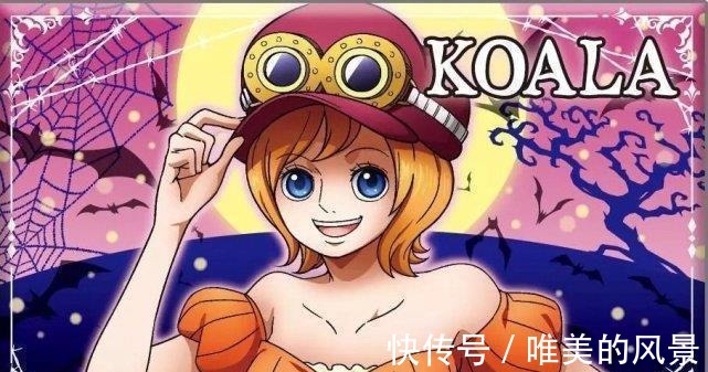 万圣套装|当海贼王中的角色换上万圣套装,乔巴像巫师,索隆成了绷带怪人!
