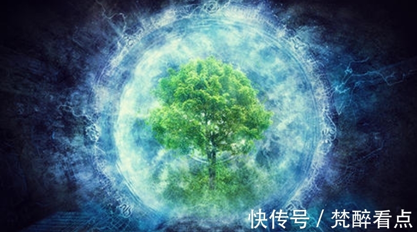 地球是一个生命体 并且具有自己的独立意识 而人类仅是寄生虫 全网搜