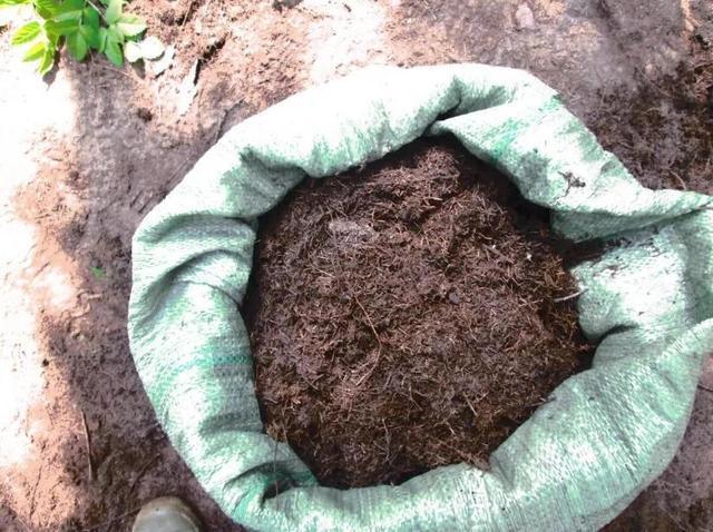 养花营养土不用买,5东西“捂一捂”,养花肥效好、不烂根