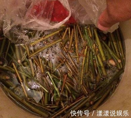 生根|秋天养花,用到2种“生根剂”,花卉长出“胡须根”,一学就会