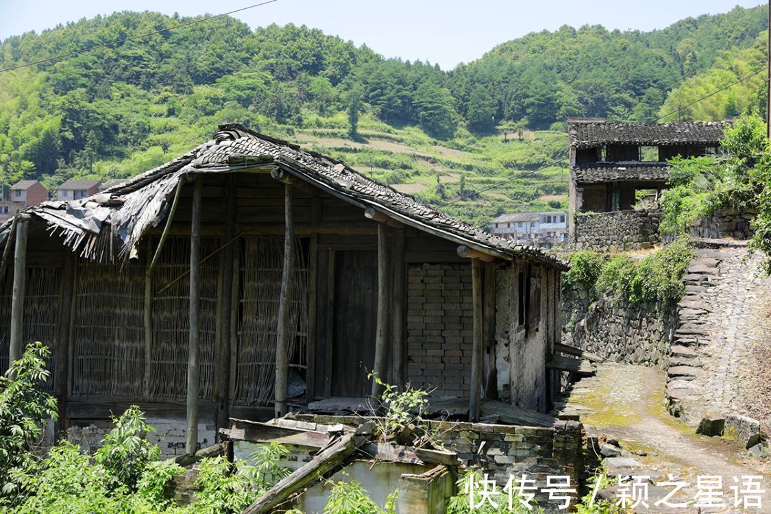 粉黛|宁波最大的粉黛花海，又到绚烂时，游客蜂拥而至