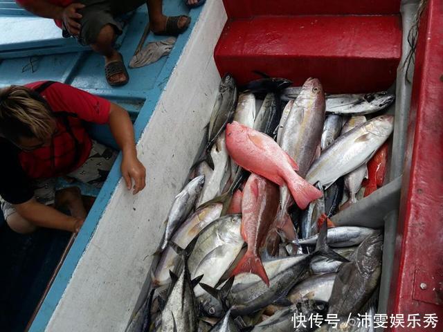 为了海钓我已经家徒四壁,除了钓鱼发家致富我已无别的选择