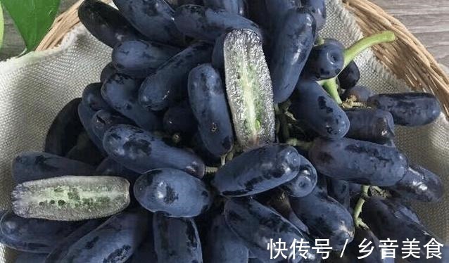 院子里种上果树,能观赏且寓意好,果肉还有奶香味,甜而不腻!