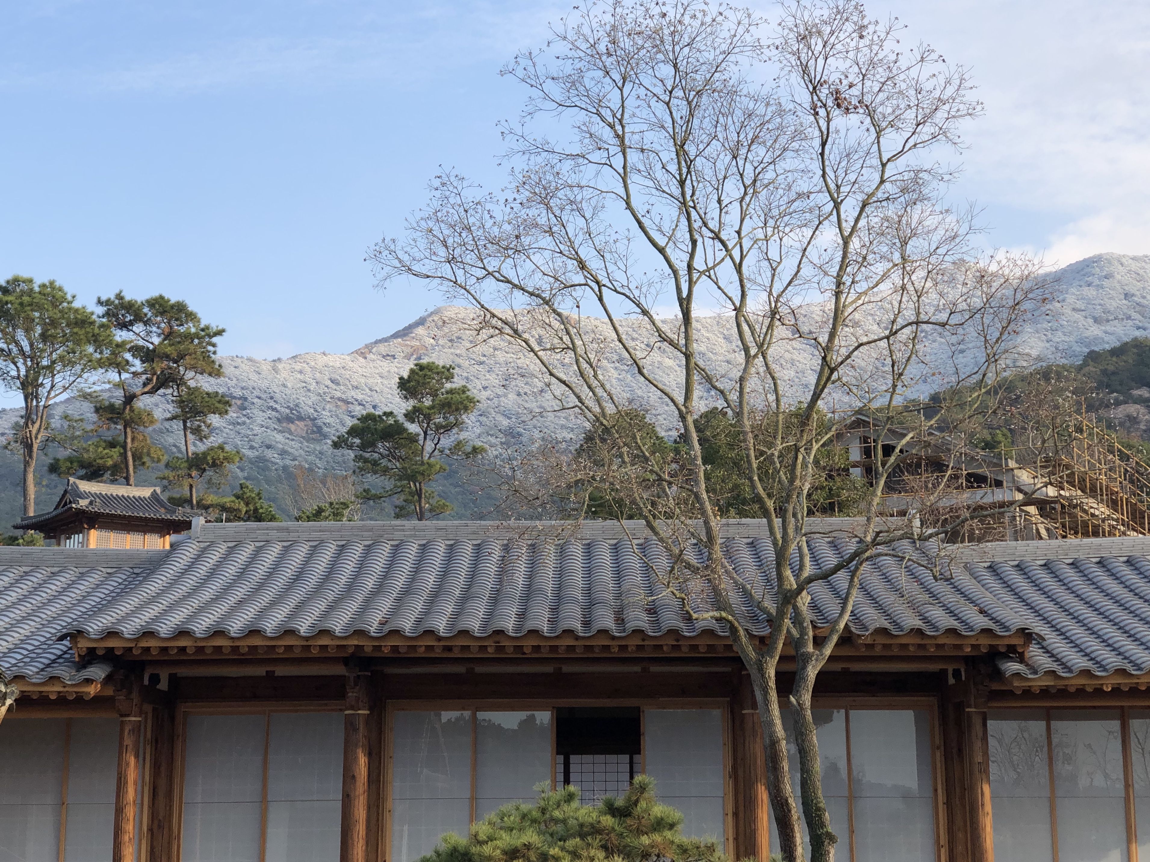 初雪过后，象山人朋友圈开启“晒雪”模式……