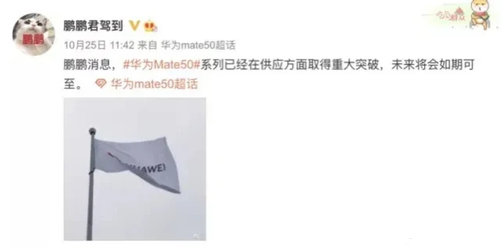 5g网络|华为Mate50王者归来!确认支持5G网络:发布时间、配置也被确认