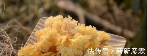 排毒养颜|便秘拉不出来太难受?试试多吃6种食物,润肠通便,排便变顺畅