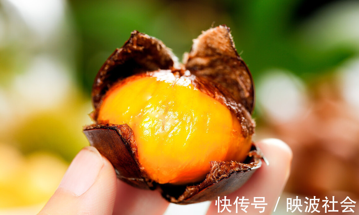糖炒栗子|煮板栗,凉水下锅还是开水下锅教你正确做法,板栗好剥壳特别香