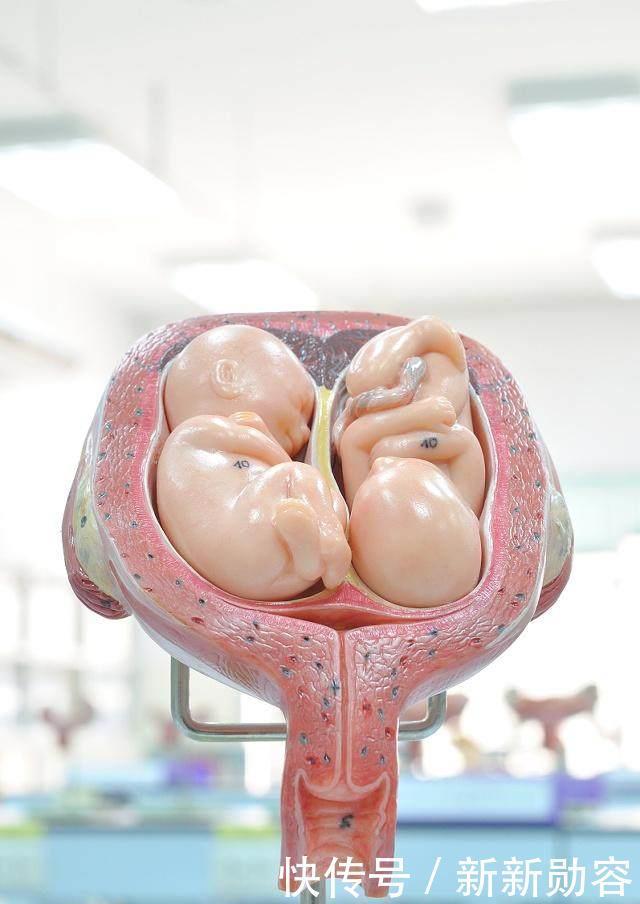 怀孕时,有的孕妈肚子大得像球,有的却不显怀,多半是这4个原因