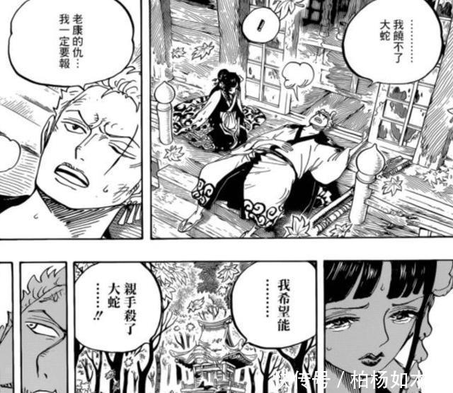 和之国|海贼王大蛇没死被斩首可能是一出戏!