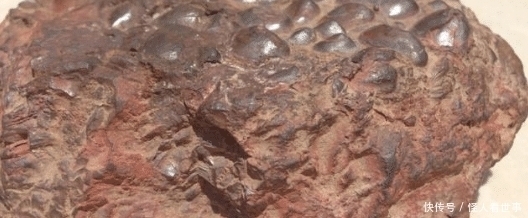 石头|如果在山中见到这样的石头赶紧捡回来,这块才700克,就值两万多