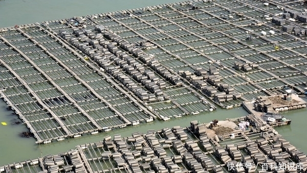 一拖|搬家一拖就走，霞浦渔民海上聚落，成独特风景