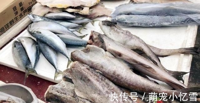 这鱼是“海中黄金”,肉质鲜美细嫩,仅6元1斤,却很多人都忽视