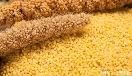 小米和此物一起煮,早上喝一碗,气血好了,也不失眠了,可以试试