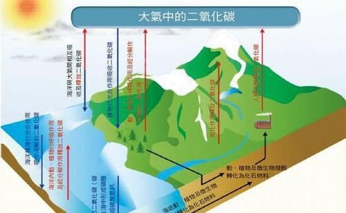 地球真的会在这个世纪达到环境临界点吗？到时人类会灭绝吗？