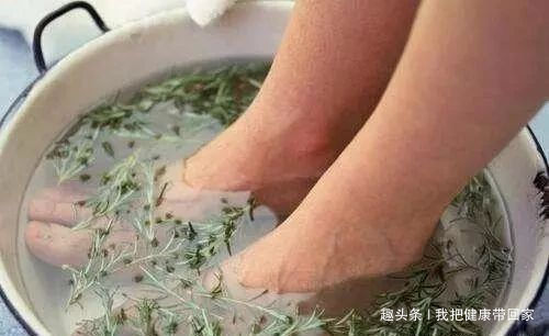 纯阳|天然“纯阳之物”终于找到了,不论男女,它可以健脾胃升阳气