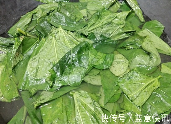 美白|天然褪黑素终被发现,2块钱一把,常吃美白淡斑,像剥了壳的蛋