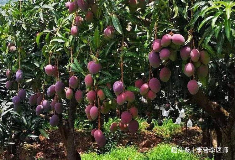 早衰|吃了不显老的食物,坚持多吃,清热解毒、润滑肠道,预防早衰