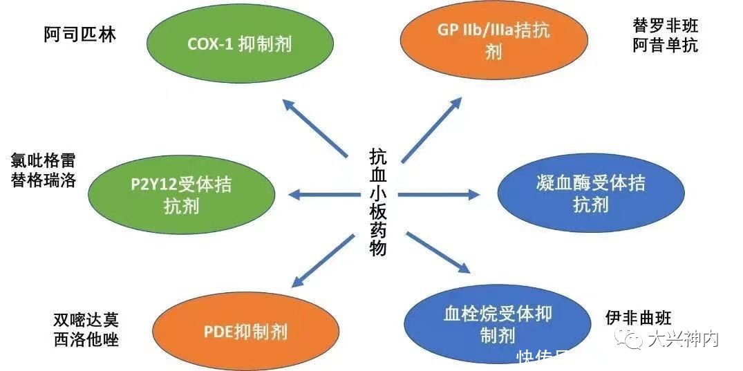 药物|苗建亭教授：脑梗死患者如何选择预防药物