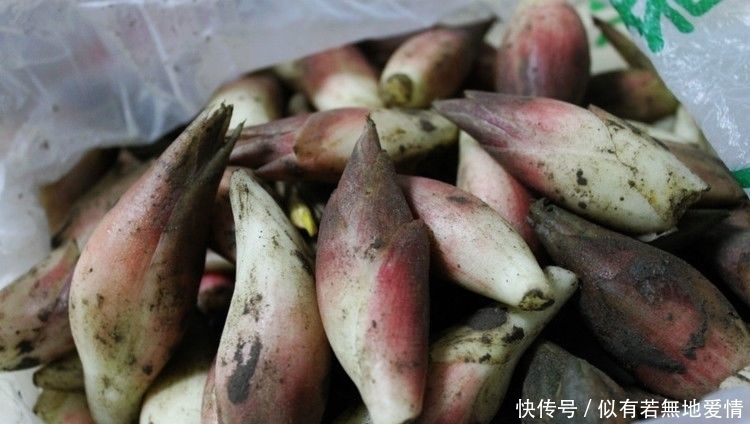 马蹄菜|农村大山特有的6种美味蔬菜，个个都很美味，你吃过几种