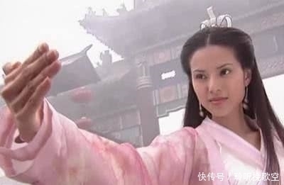 天龙中,萧远山口中的乔峰的姨父到底是什么人其实是宋朝的高官