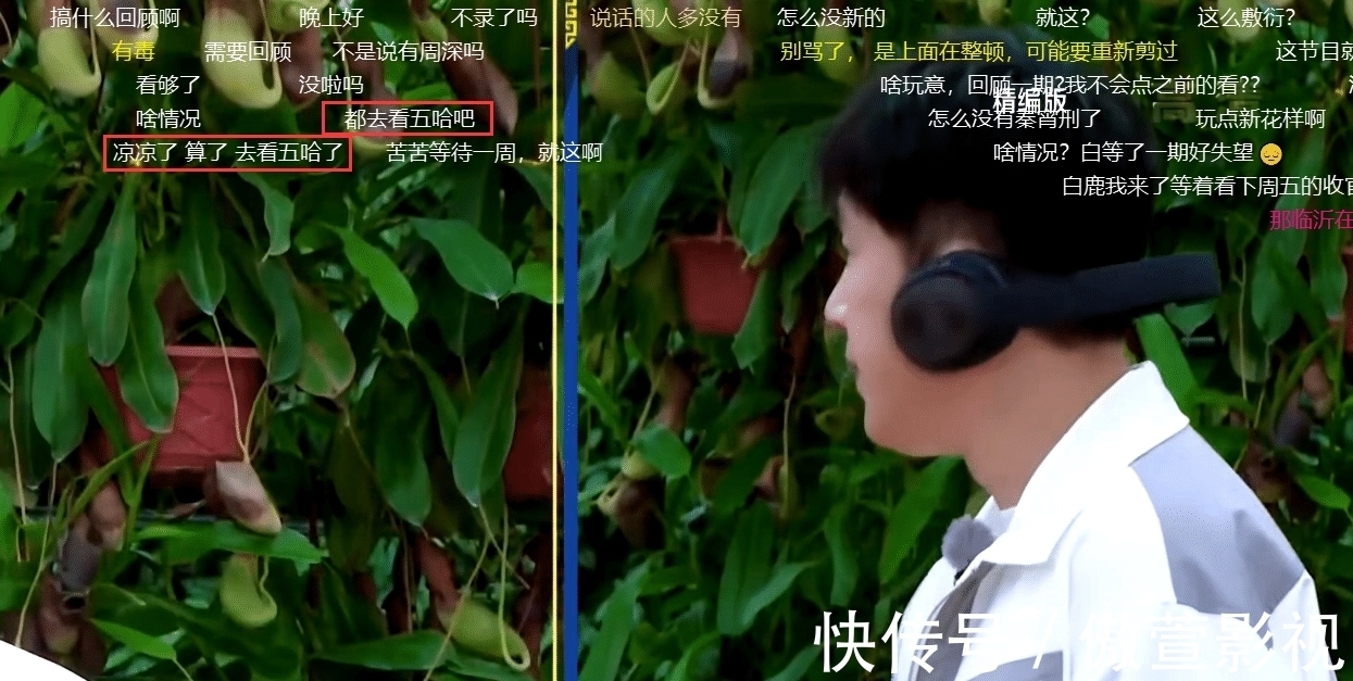 《奔跑吧黄河篇2》第五期消失？观众刷屏吐槽，停播原因曝光获原谅