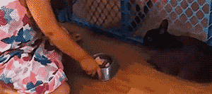 |幽默笑话:昨晚在饭馆吃面,正好碰到食堂大叔就把钱一起付了