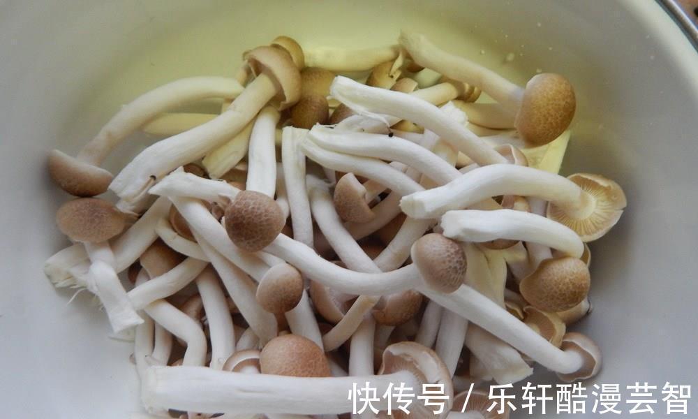 木耳菜|秋天这菜正鲜嫩，和它是绝配，营养比牛奶还高，孩子要多吃