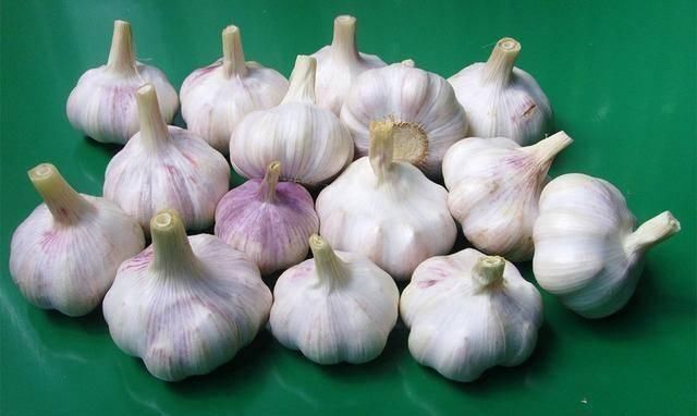 菜农|买回来的大蒜老是发芽菜农教我这招,存放一年都不会发芽了
