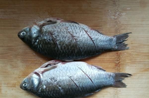 被“误解”最深的鱼，它的全身是宝，比甲鱼营养，一斤5元没人买