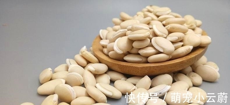 清洗干净|秋季健脾很重要,分享八种健脾的食物,多吃它们,顺利过秋季