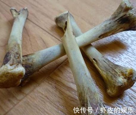 养君子兰，抓住3个细节，用上2勺粉末，花箭抽不停