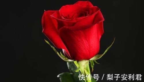 太守@黄庭坚畅饮美酒,抒写了一副楹联,脱口而出,却妙趣横生