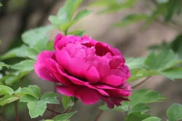 品德|好的人生,是从养成这三个好习惯开始