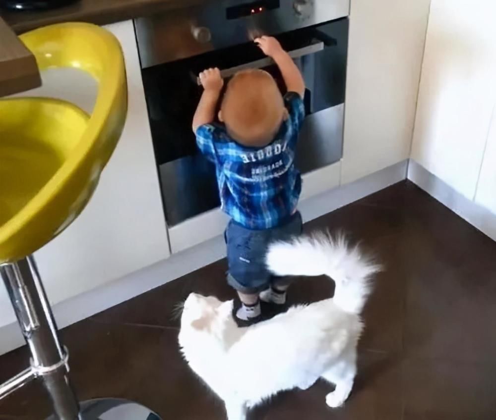 对孩子|目瞪狗呆！美国男孩将妹妹放进烤箱，面对熊孩子，家长要这么管教