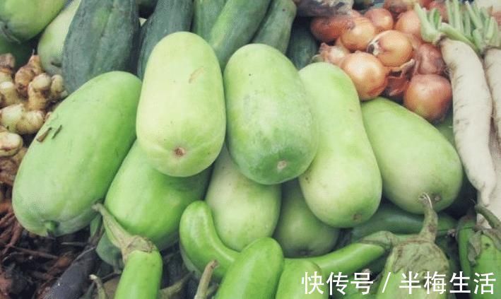 买冬瓜时,挑白皮还是挑黑皮的?老菜农说漏了嘴,以后别再乱买了