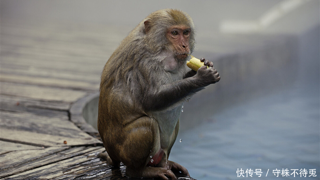 奇怪|14个冷知识:或许使用不到,但可以增长见闻的奇怪知识