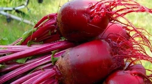 爱美女性坚持吃3种食物，减肥瘦身、补血养颜，身体棒棒哒！