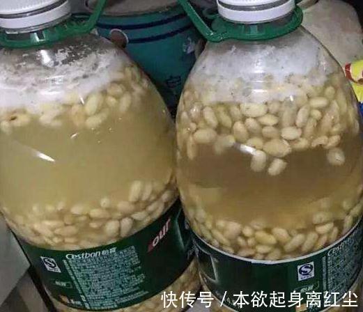 养花必备的“3种水”，家家都有，浇到花盆里，啥花都越养越旺盛