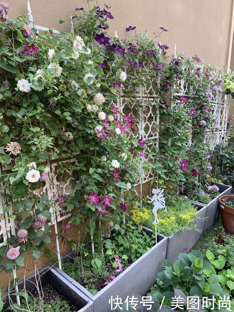 花了7个月,亲手打造123㎡别墅花园,网友:看一眼都会陶醉其中