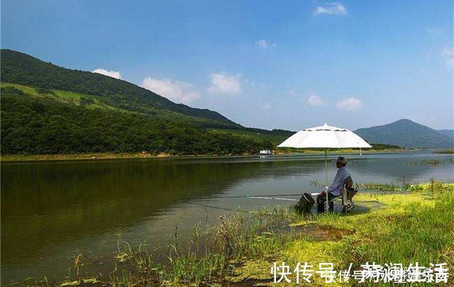 别再抢老钓位了，“秋老虎”鱼儿都藏在这，选这垂钓事半功倍